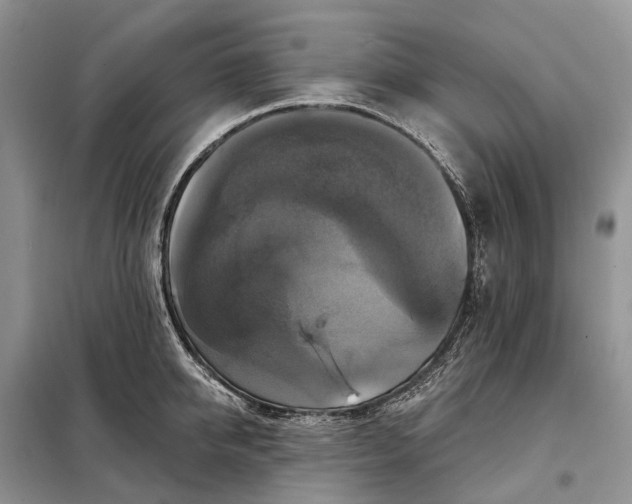 X0000097990950200804071148