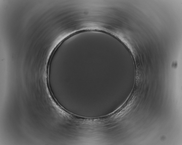 X0000097990951200804071148
