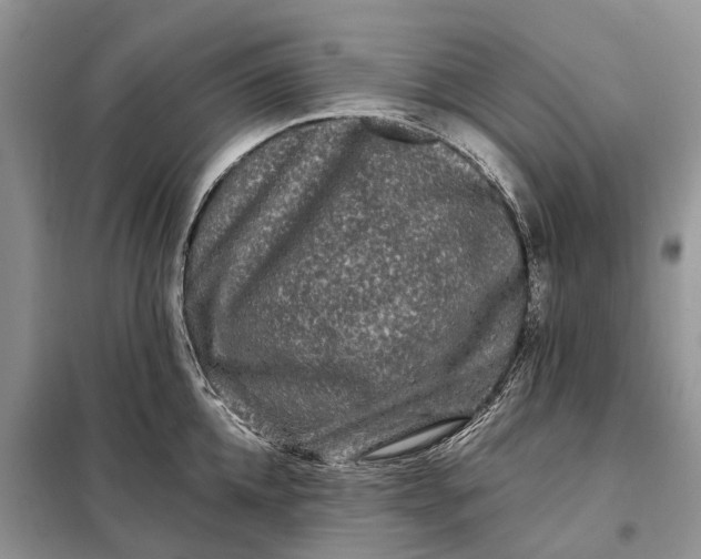 X0000097990952200804071148