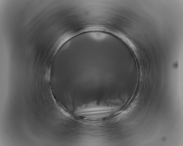 X0000097990953200804071148