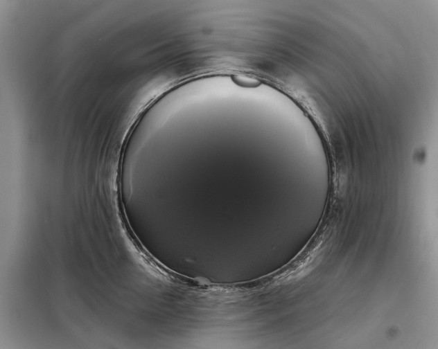 X0000097990954200804071148