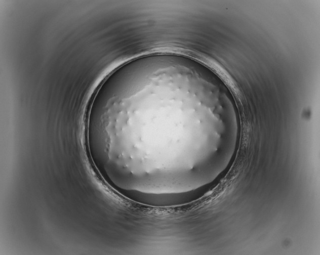 X0000097990955200804071148