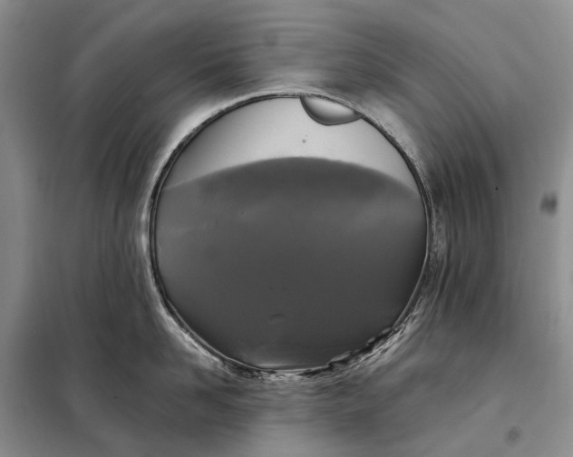 X0000097990958200804071148