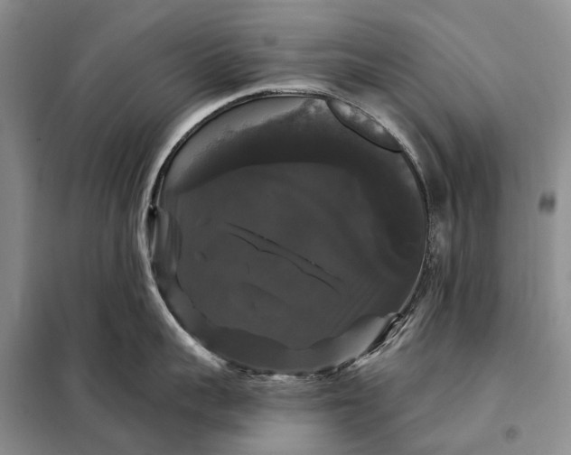X0000097990959200804071148