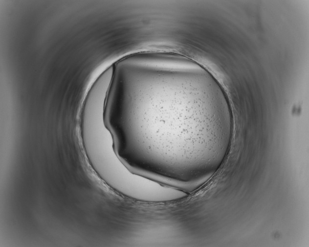 X0000097990960200804071148