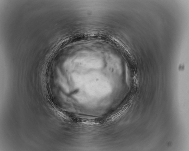 X0000097990961200804071147