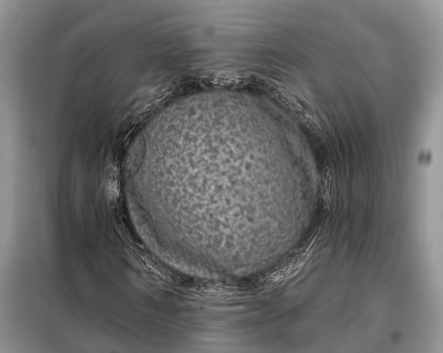 X0000097990962200804071147