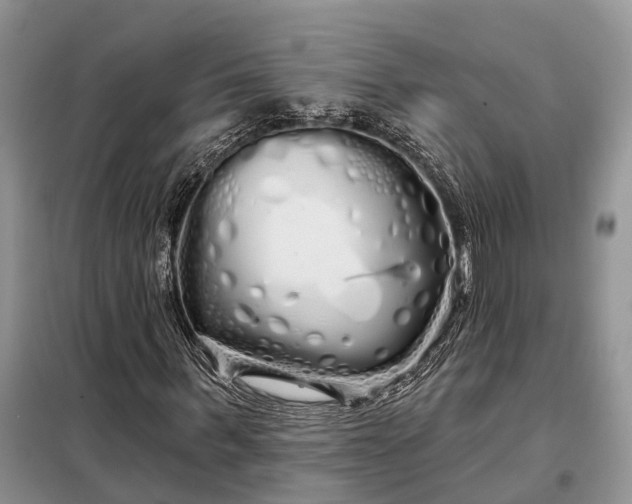 X0000097990963200804071147