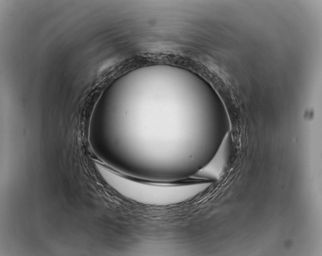 X0000097990965200804071147