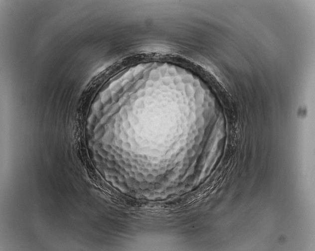 X0000097990967200804071147