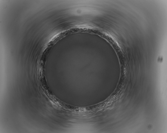 X0000097990968200804071147