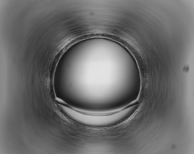 X0000097990969200804071147