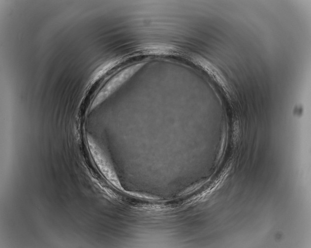 X0000097990970200804071147