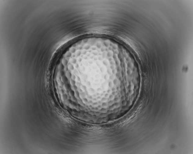 X0000097990971200804071147