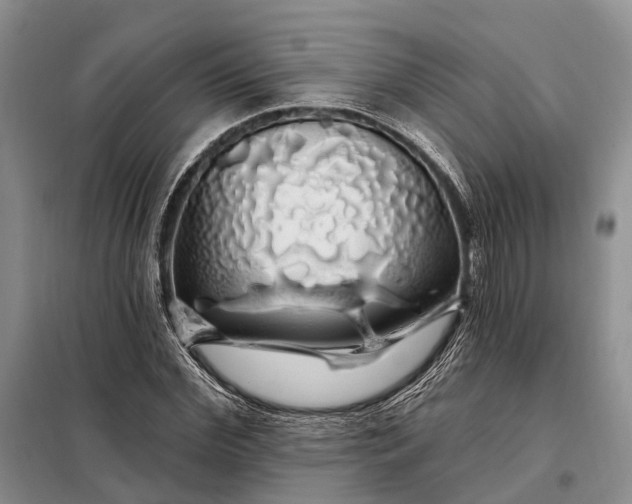 X0000097990972200804071147