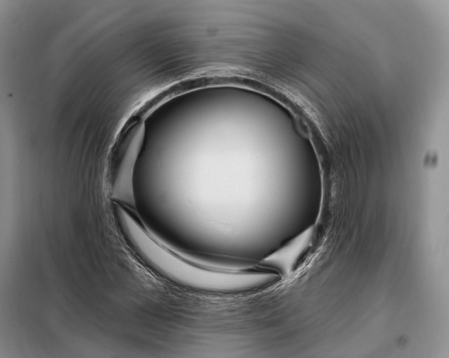 X0000097990973200804071147