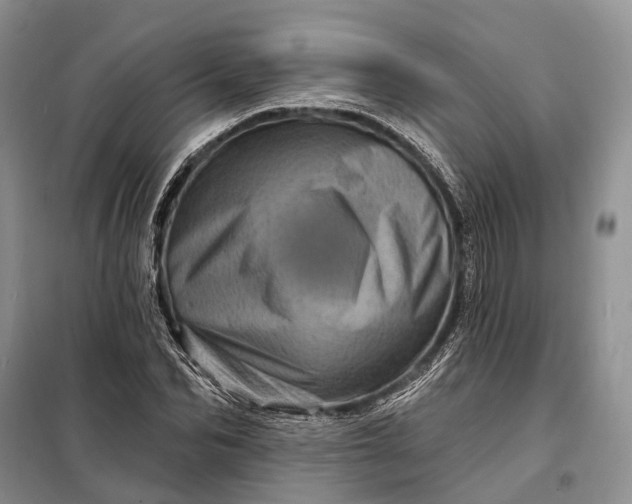 X0000097990974200804071147