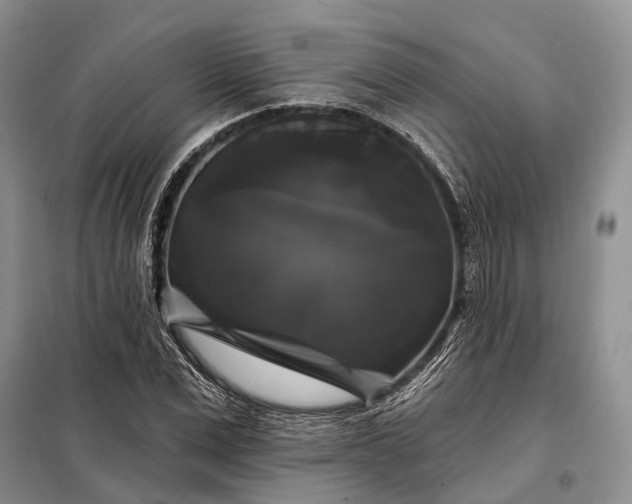 X0000097990975200804071147