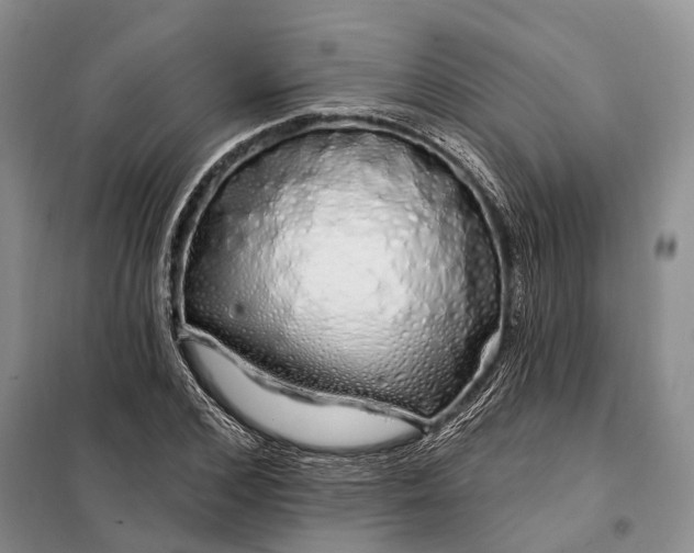 X0000097990976200804071147