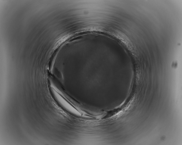 X0000097990977200804071147