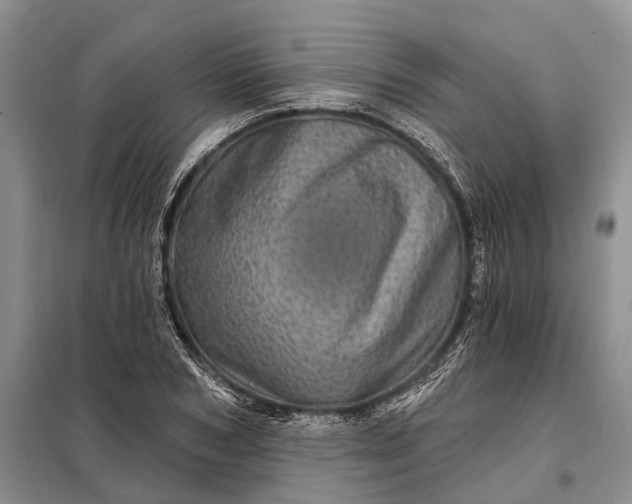X0000097990978200804071147