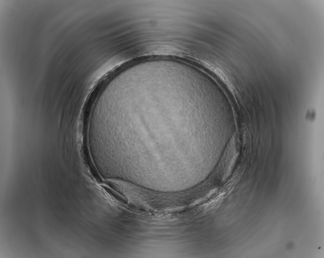 X0000097990979200804071147