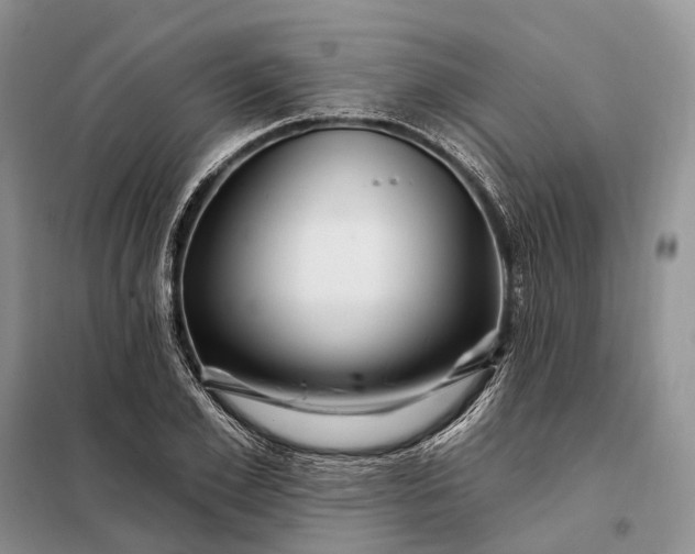 X0000097990981200804071147