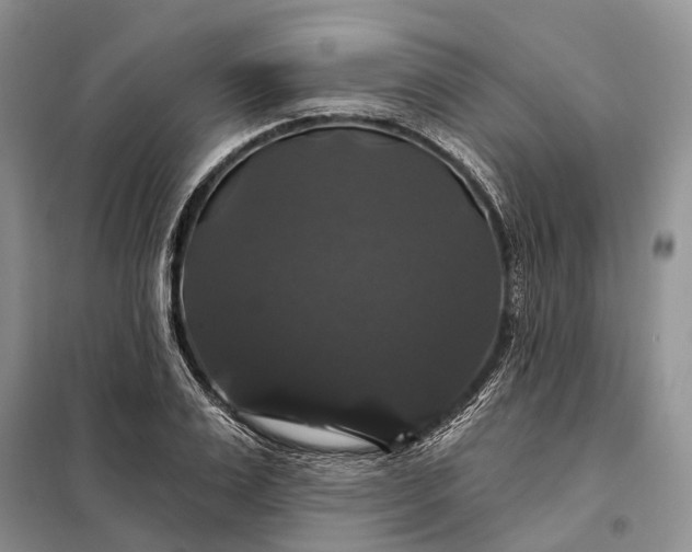 X0000097990983200804071147