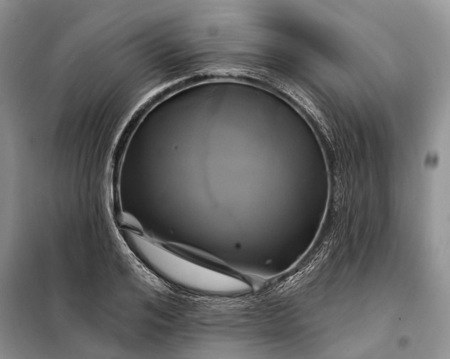 X0000097990984200804071147
