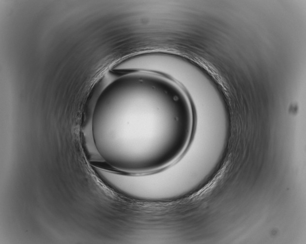 X0000097990985200804071147