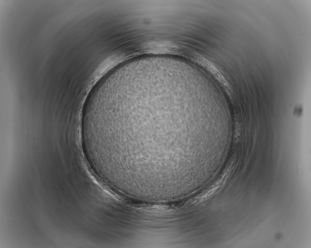 X0000097990986200804071147