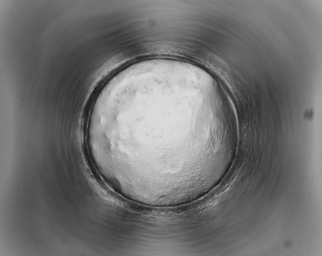 X0000097990987200804071147
