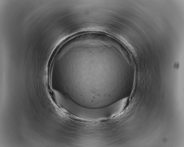X0000097990988200804071147