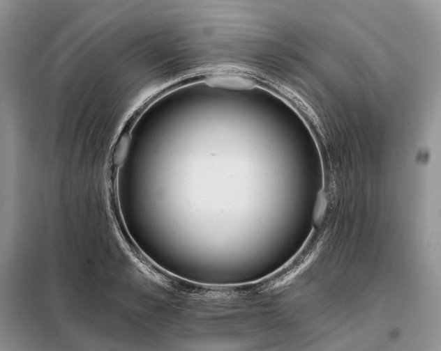 X0000097990989200804071147