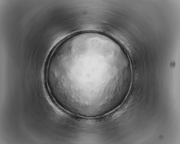 X0000097990991200804071147