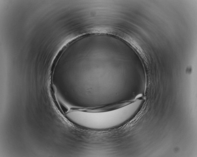 X0000097990992200804071147