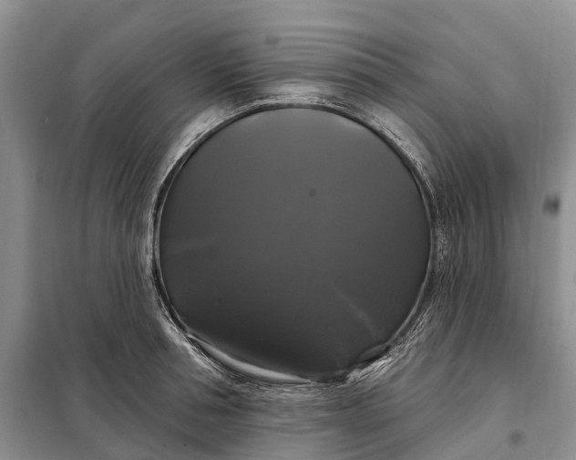 X0000097990994200804071146