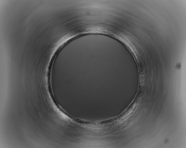 X0000097990995200804071146