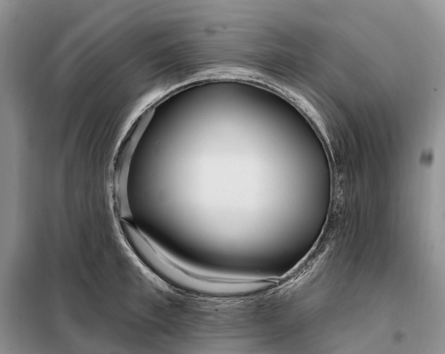 X0000097990997200804071146