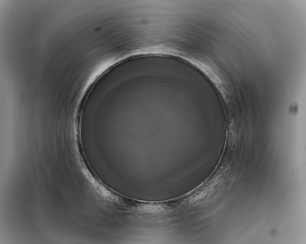 X0000097990998200804071146