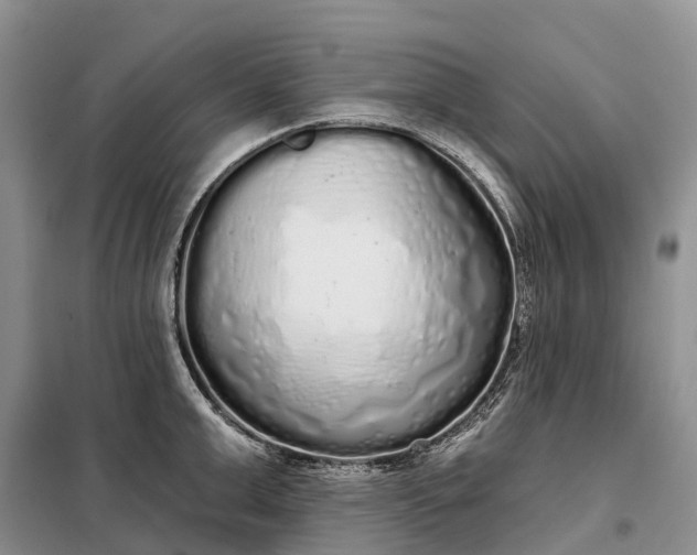 X0000097990999200804071146