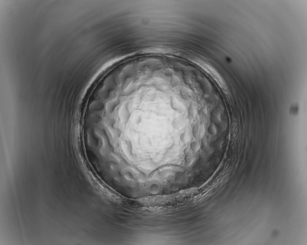 X0000097991000200804071146