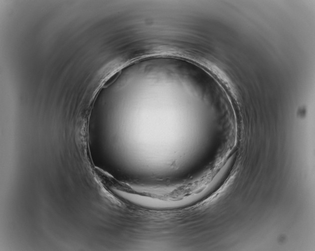 X0000097991001200804071146