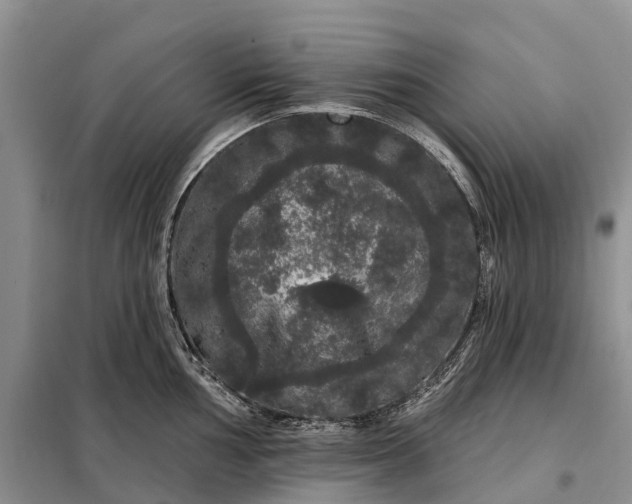 X0000097991002200804071146