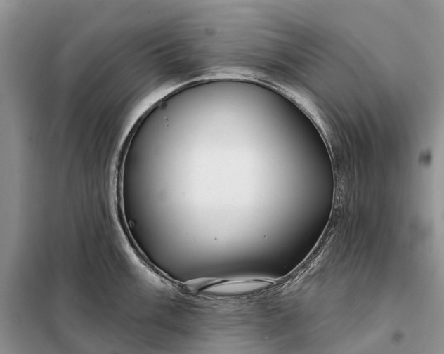 X0000097991003200804071146