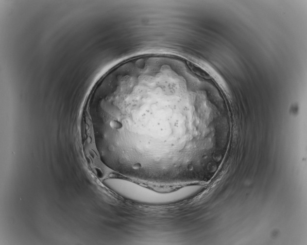 X0000097991004200804071146