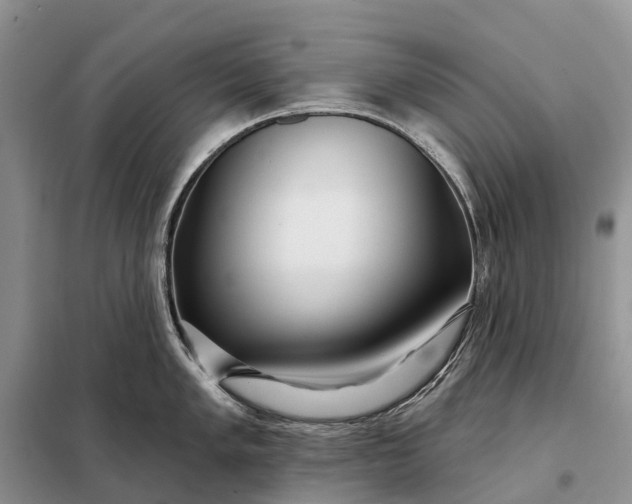X0000097991005200804071146