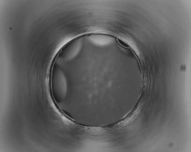 X0000097991007200804071146