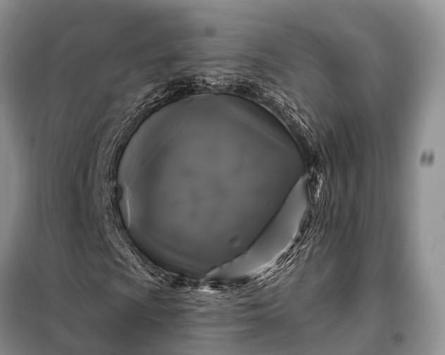 X0000097991009200804071145