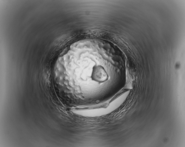 X0000097991010200804071145